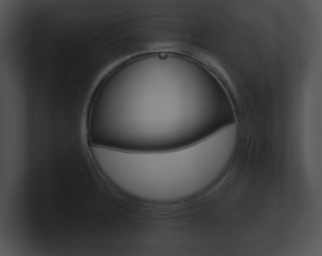 X0000100901328200806241022