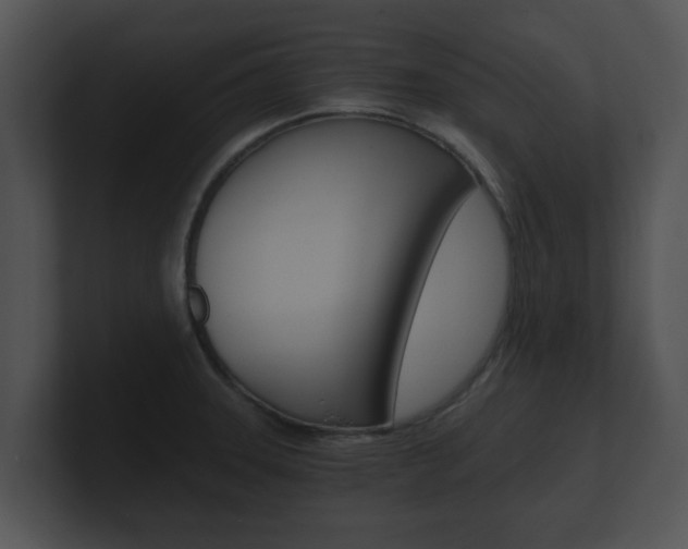 X0000100901331200806241022