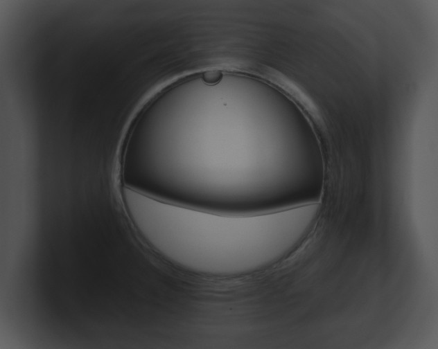 X0000100901332200806241022