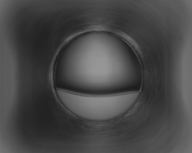 X0000100901334200806241022