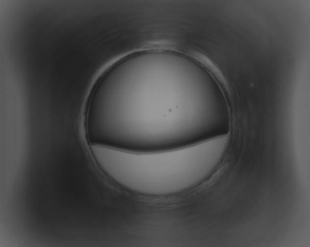 X0000100901336200806241022