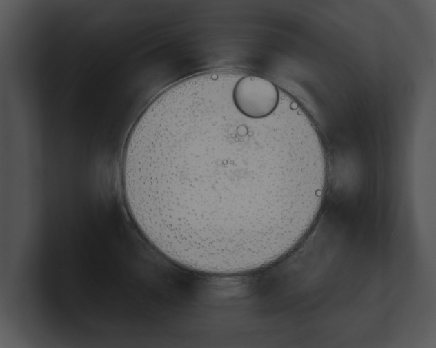 X0000100901338200806241022