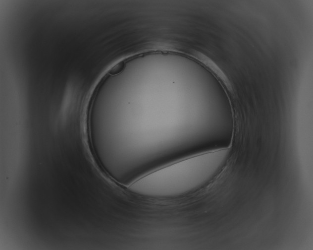X0000100901339200806241022