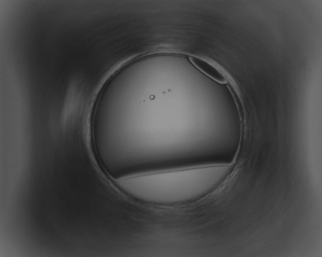 X0000100901341200806241022