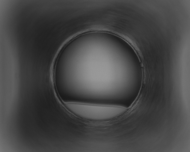 X0000100901342200806241022