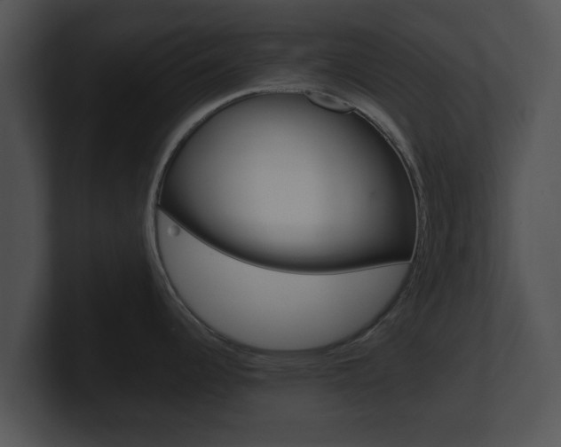 X0000100901344200806241022