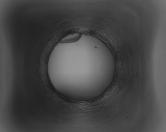 X0000100901345200806241022
