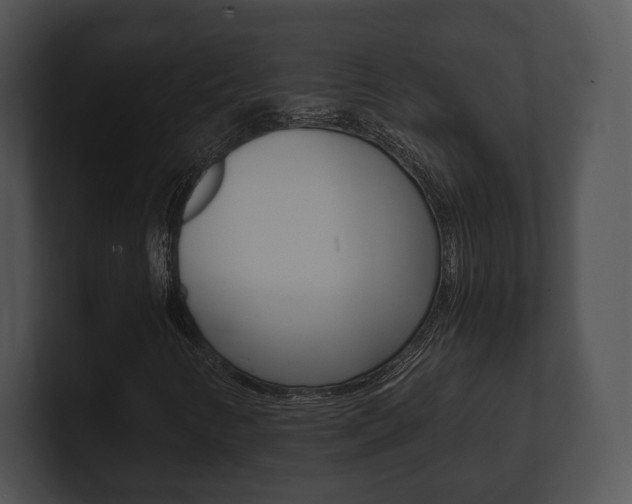 X0000100901346200806241022