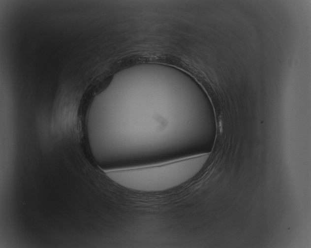X0000100901347200806241022