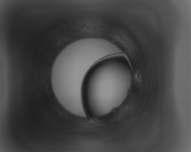 X0000100901348200806241022
