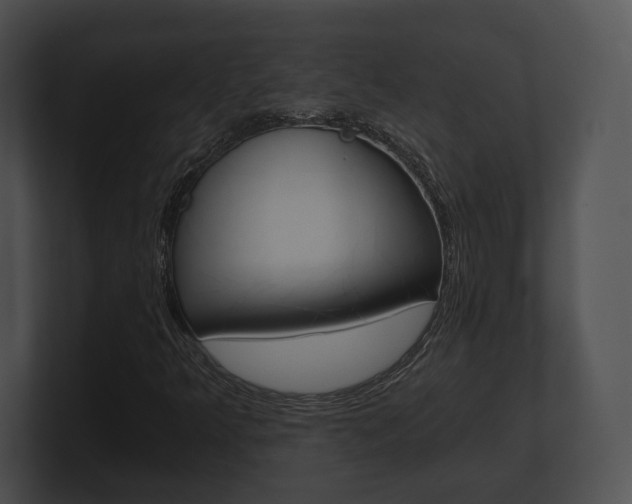 X0000100901349200806241022