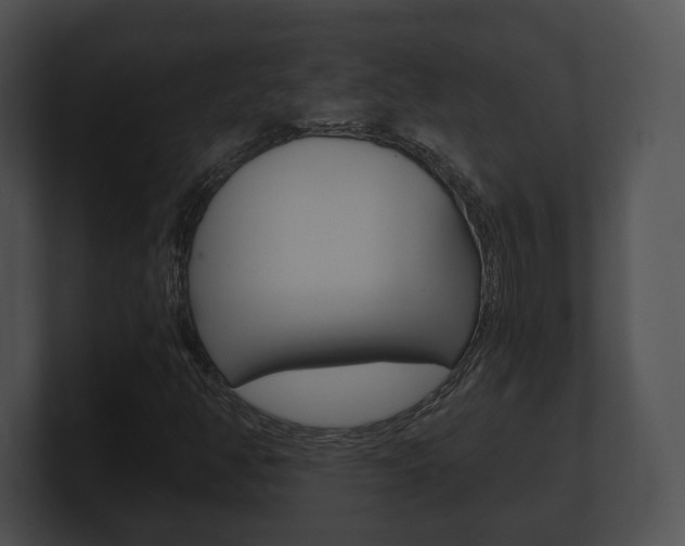 X0000100901350200806241022