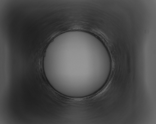 X0000100901353200806241021