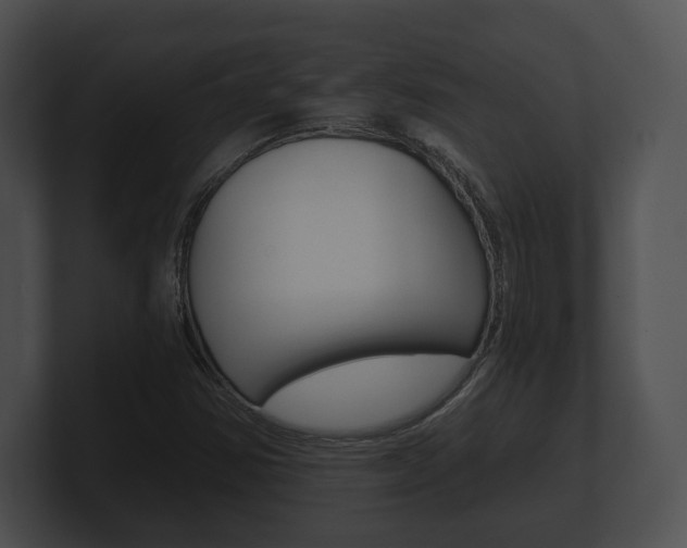X0000100901354200806241021
