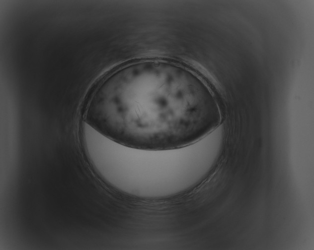 X0000100901356200806241021