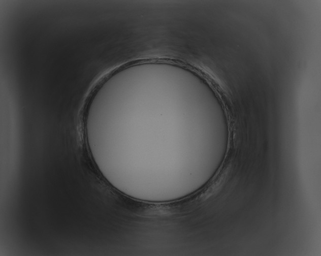 X0000100901358200806241021