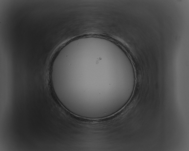 X0000100901359200806241021