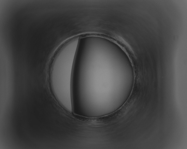 X0000100901360200806241021