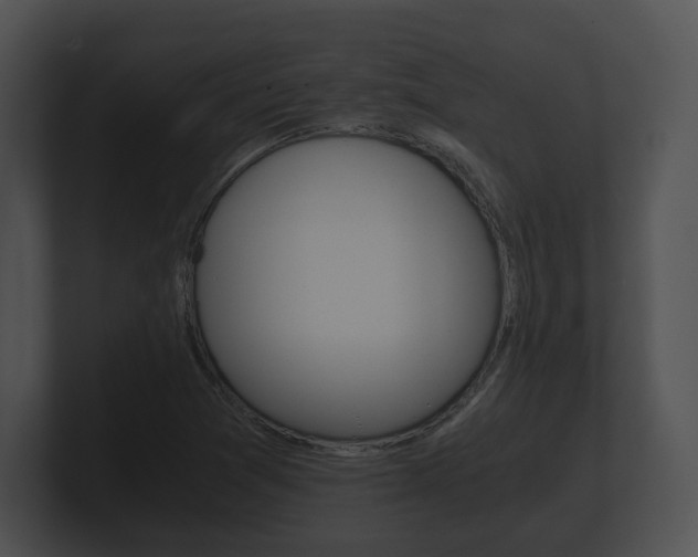 X0000100901361200806241021