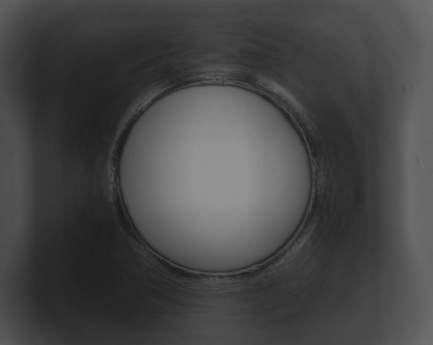 X0000100901362200806241021