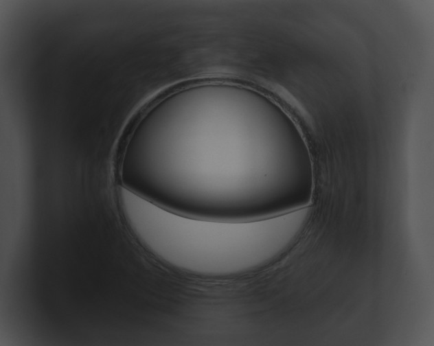 X0000100901364200806241021