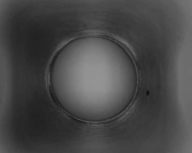 X0000100901365200806241021