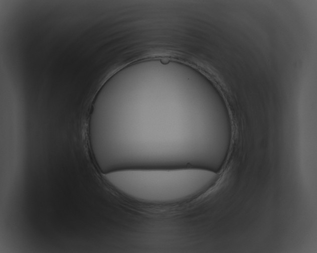 X0000100901369200806241021