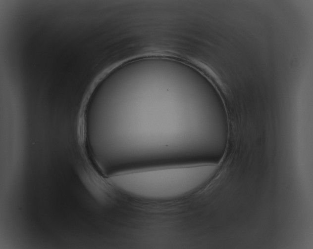 X0000100901371200806241021