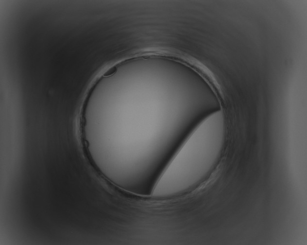 X0000100901373200806241021