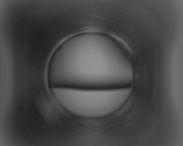 X0000100901375200806241021