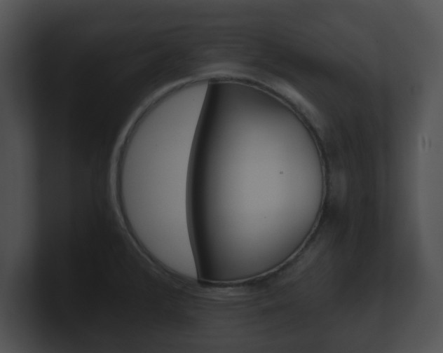 X0000100901376200806241021