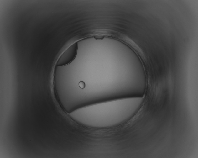 X0000100901378200806241021