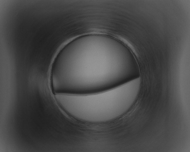 X0000100901379200806241021