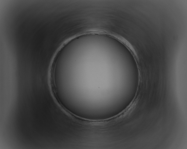 X0000100901381200806241021