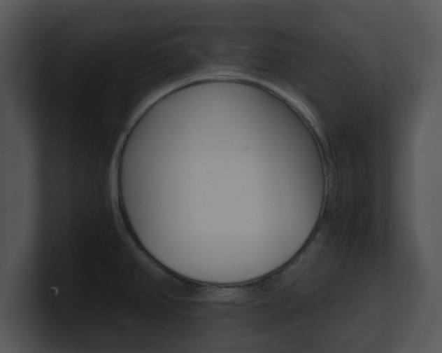 X0000100901382200806241021