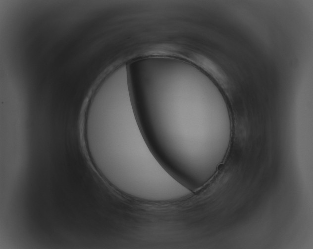 X0000100901384200806241021