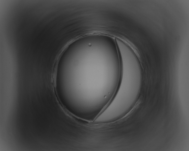 X0000100901385200806241021