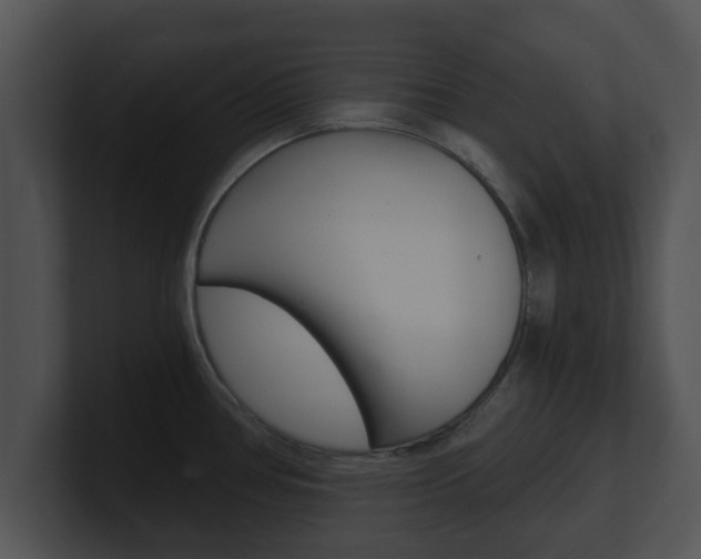 X0000100901386200806241021