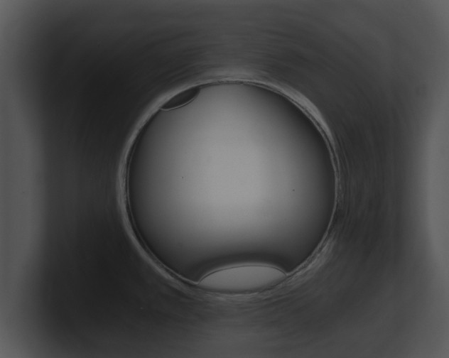 X0000100901389200806241021