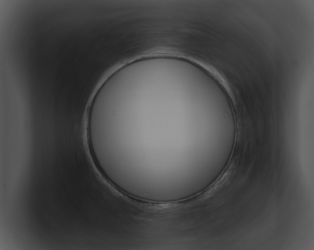 X0000100901390200806241021