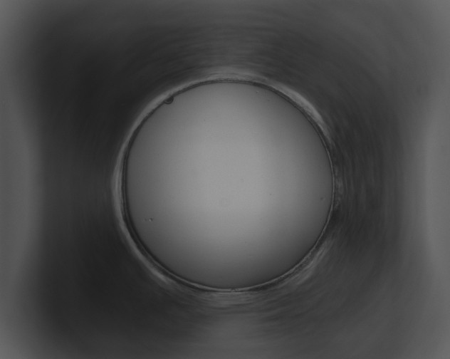 X0000100901391200806241021