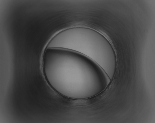 X0000100901392200806241021