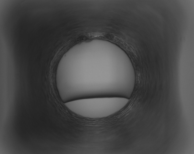 X0000100901393200806241020