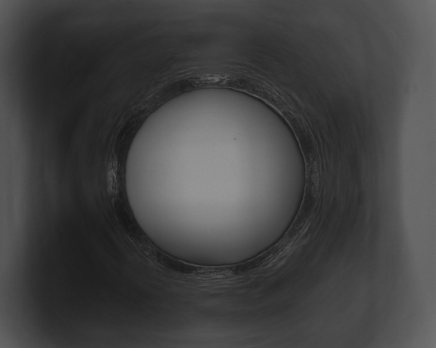 X0000100901394200806241020