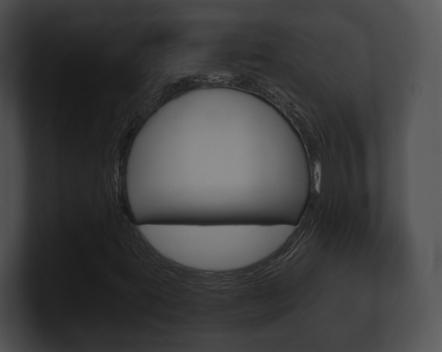 X0000100901395200806241020