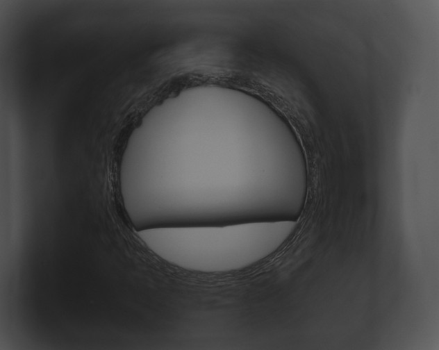 X0000100901397200806241020