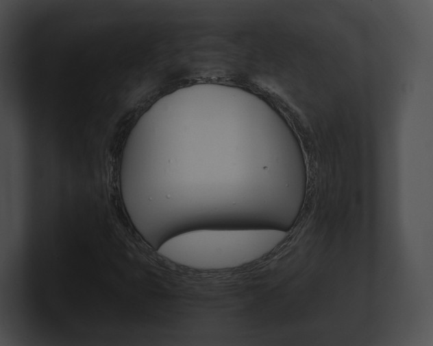 X0000100901399200806241020