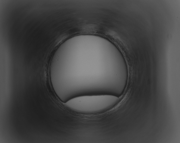 X0000100901401200806241020