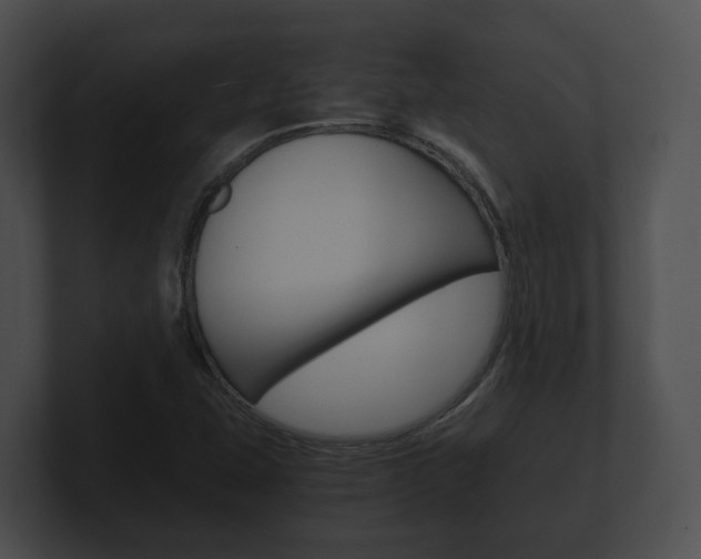 X0000100901407200806241020