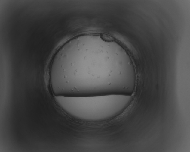 X0000100901413200806241021